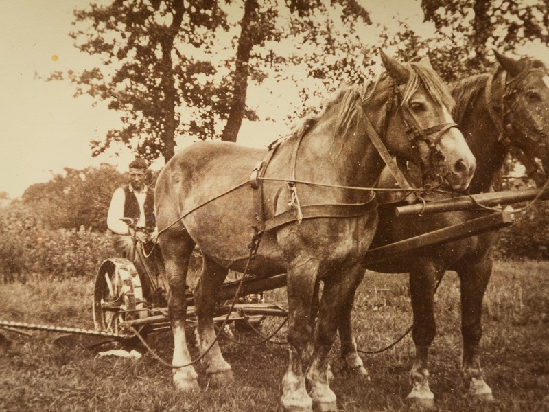 Oldenburger|Fritom in Veendam werd opgericht door Jan Oldenburger en hij begon het bedrijf met paard en wagen.