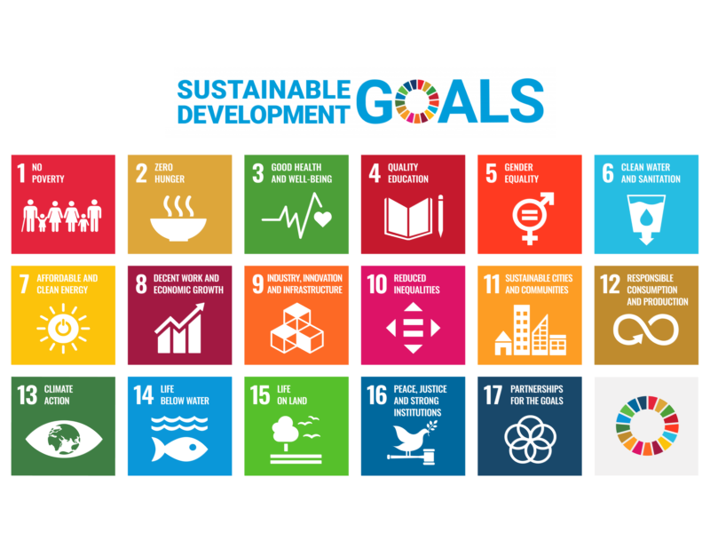 The 17 sustainable development goals and Agenda 2030 of the United Nations (UN).